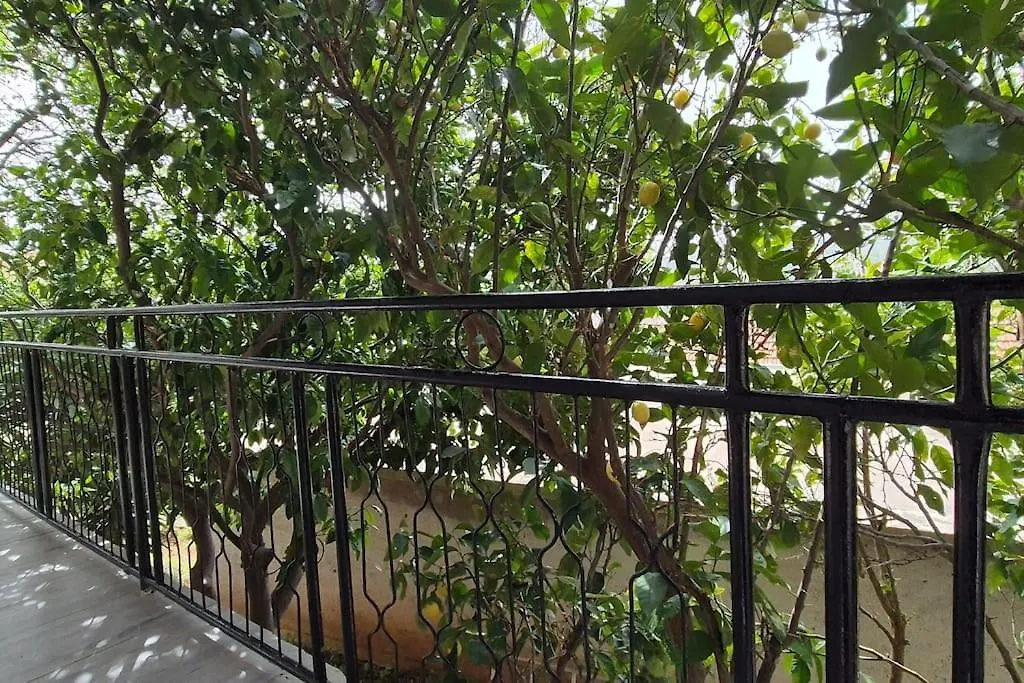 Σπίτι διακοπών Kuca Za Odmor Petra Βίλα Sali Κροατία